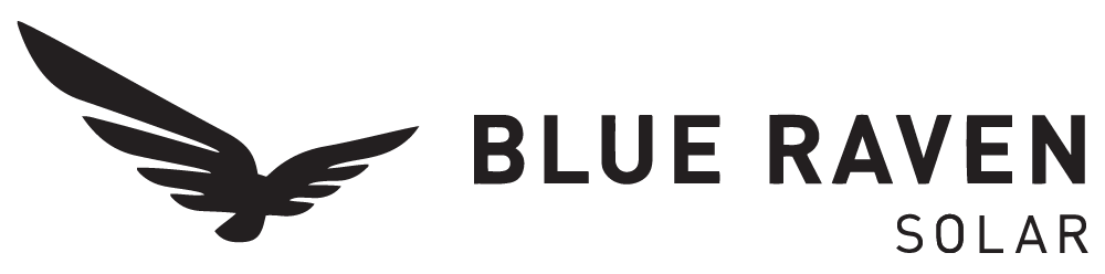 trusted-blue-raven-logo
